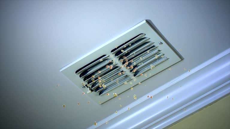 Best Best Air Duct Cleaning Company  in Dupont, PA