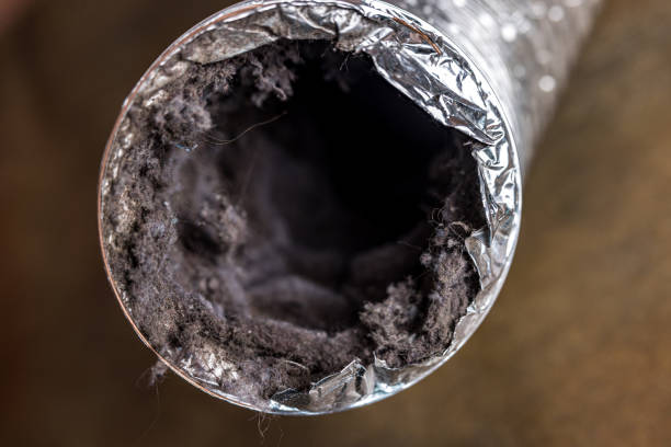 Best Commercial Air Duct Cleaning  in Dupont, PA